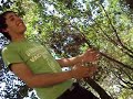 MOV00154.AVI