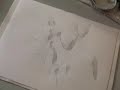 Snow Field Sumie Drawing