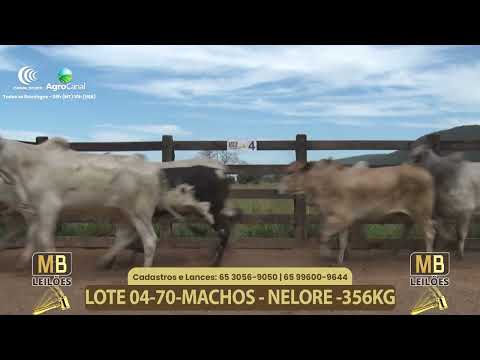 554� LEIL�O VIRTUAL MB LEIL�ES