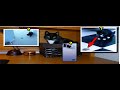 FAKE dog POOP scared My CAT Funny - Stop Motion, Photoshop, PowerDirector