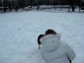 Дрессировка с помощью ЭО (заключение)