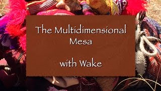 The Multidimensional Mesa with Wake