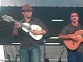 El gallo fino