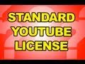 Standard Youtube License & Creative Commons