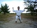 Shito Ryu - Kata Aoyagi (Seiryu) Shito Ryu - Kata Aoyagi (Seiryu)