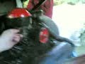 maggiolino sterrato alatri tecchiena s emidio dunne buggy