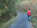 Cacería en Ponga 6 (Principado de Asturias)*