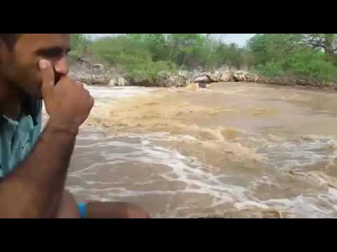 Apois anos de Seca Rio copiti com aguas da chuva