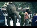 Tata Sky's Hilarious Grass Man Indian Cricket World Cup Ad