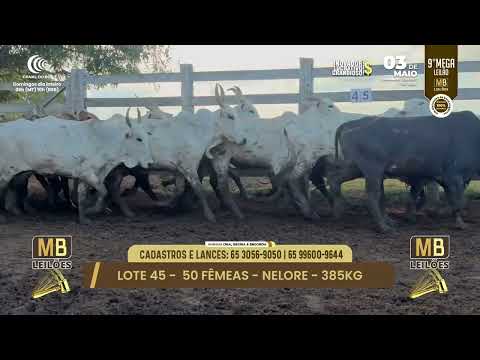 9� MEGA LEIL�O DA MB LEIL�ES