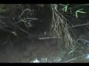 Field Expedient Fish Trap