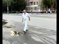 Пьяный товарищ издевается над Гайцами