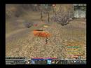 Windstep first video Windstep first video