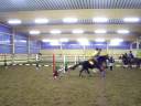 Springquadrillie 7. Dezember