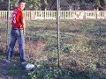 vaya cacho.....