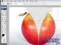 Unzip an apple in Photoshop (Part 1 of 2) - Week 26