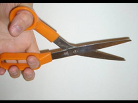 Snip Snip Snip