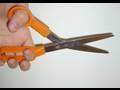 Snip Snip Snip
