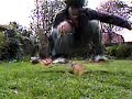 A quick edit of some balance boarding from a while back