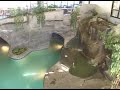 Sidney James Mountain Lodge Indoor Pool