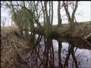 Anita foar Fryslan 2