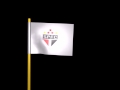 Bandeira do São Paulo Football Club em 3D