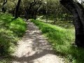 Heilmann Park Walk #1a Heilmann Park Walk #1a