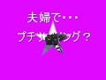 夫婦でプチツーリング!!