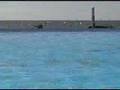 grand pavois 2007 - Village Glisse by windsurf team LR