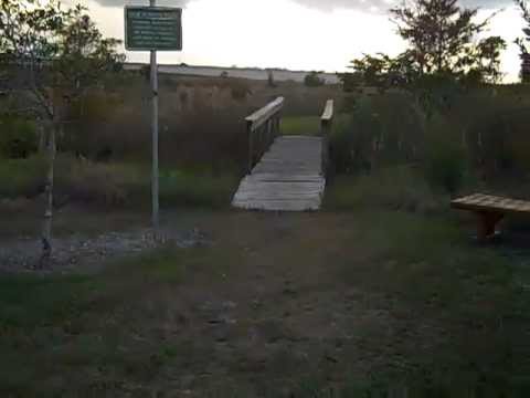 Hiking-Markham Park Nature Trail Florida