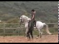 Train on purebred Lusitanos in Portugal with Hidden Trails