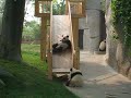 Panda Breeding Centre Panda Breeding Centre