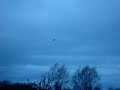 Test flight of TREX 600