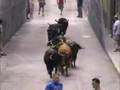 Entrada de Bous Festes Pedreguer