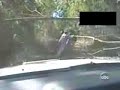 Funy Videos