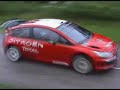 dani sordo