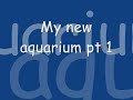 My new aquarium pt 1.wmv
