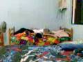 videos de Alexis y Carlitox