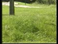 Cahokia Mounds Wood Henge Stone Henge