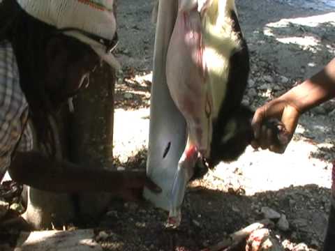 how to skin a mt goat
