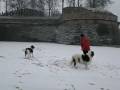 2009-01-06 | jeux neige ~> Landseers jouant sous la neige ... (02:37)