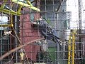 talking budgie 2