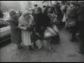 Kolejki do sklep�w 1987 - WFDiF