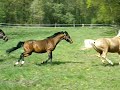 Nudow Frühling 2011 die Erste!
