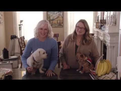 Behind the PSA: “Crazy About Dogs”