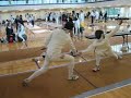 NCAA Fencing @ Northwestern