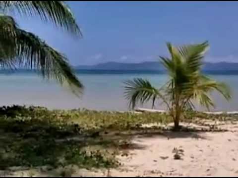 sizable - http://www.palawanproperty.com - BL156 - Titled - 40433 sqm - GPS: 11.30380, 119.56109 - Sibaltan, El Nido, Palawan - http://www.palawanproperty.com/bl156.h...