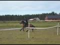 En kaldblodstravers protest mot for korte Games-baner