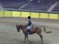 SHN PB Hunter, Exodus I, second trip