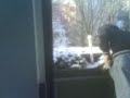 BaLkOn BoMbE xD BaLkOn BoMbE xD